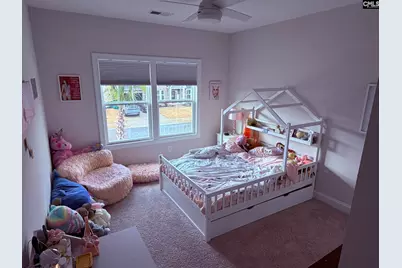 119 Rattle Trap Way, Lexington, SC 29072 - Photo 25