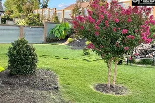 1149 Britton Creek Ct, Lexington, SC 29072 - Photo 65