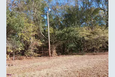 158 Juju Lane, Orangeburg, SC 29118 - Photo 3