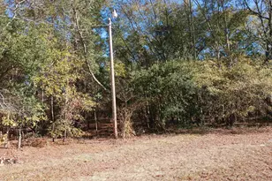 158 Ju Ju Ln, Orangeburg, SC 29118 - Photo 3