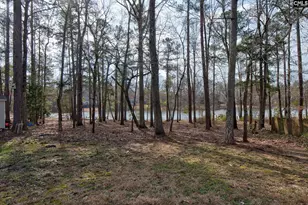 217 Caro Ln, Chapin, SC 29036 - Photo 5