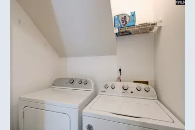 217 Caro Lane, Chapin, SC 29036 - Photo 19