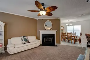 217 Caro Ln, Chapin, SC 29036 - Photo 27