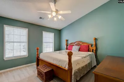 217 Caro Lane, Chapin, SC 29036 - Photo 11