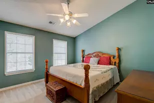 217 Caro Ln, Chapin, SC 29036 - Photo 11