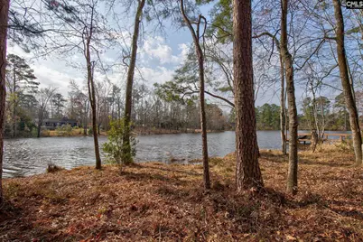 217 Caro Lane, Chapin, SC 29036 - Photo 1