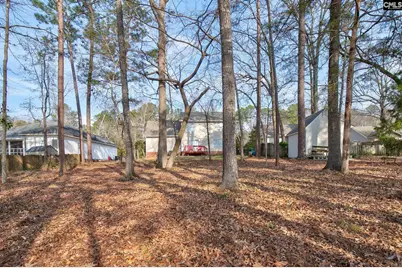 217 Caro Lane, Chapin, SC 29036 - Photo 3