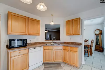 217 Caro Lane, Chapin, SC 29036 - Photo 9