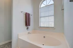 217 Caro Ln, Chapin, SC 29036 - Photo 7