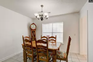 217 Caro Ln, Chapin, SC 29036 - Photo 11