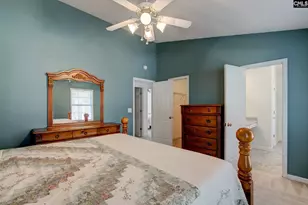 217 Caro Ln, Chapin, SC 29036 - Photo 9