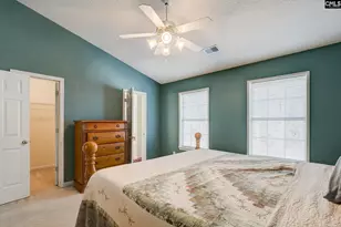 217 Caro Ln, Chapin, SC 29036 - Photo 15