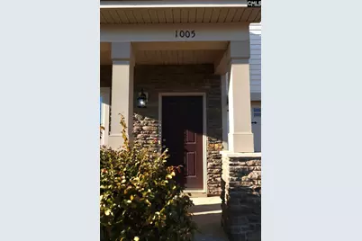 1005 Old Town Road, Irmo, SC 29063 - Photo 5