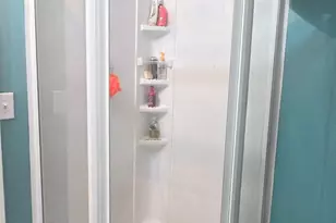 6 Green Shank Ct, Irmo, SC 29063 - Photo 21