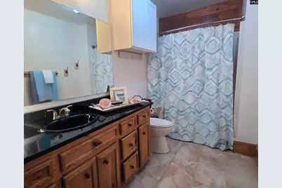 6 Green Shank Court, Irmo, SC 29063 - Photo 15