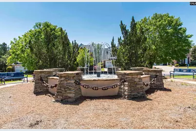 505 Fairwind Drive, Chapin, SC 29036 - Photo 49