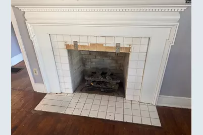 110 Harris Street, Bishopville, SC 29010 - Photo 5