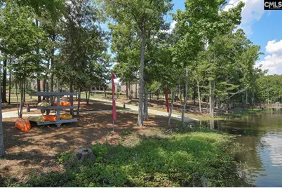 603 Riverdale Court, Chapin, SC 29036 - Photo 67