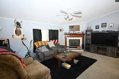 146 Smith Pond Road, Lexington, SC 29072 - Photo 11