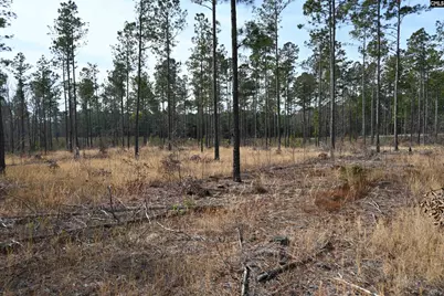 622 Pickett Thomas Road, Camden, SC 29020 - Photo 23