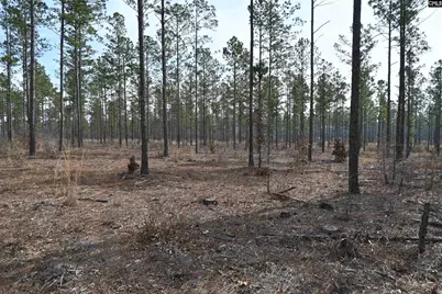 622 Pickett Thomas Road, Camden, SC 29020 - Photo 3