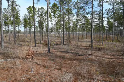 622 Pickett Thomas Road, Camden, SC 29020 - Photo 17