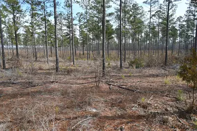 622 Pickett Thomas Road, Camden, SC 29020 - Photo 15