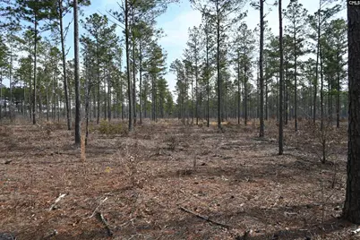 622 Pickett Thomas Road, Camden, SC 29020 - Photo 5