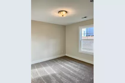 253 Wahoo Circle, Irmo, SC 29063 - Photo 13