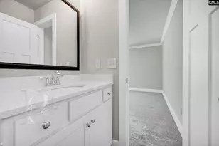 253 Wahoo Cir, Irmo, SC 29063 - Photo 19