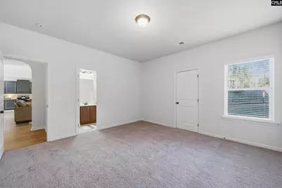 233 Blue Indigo Circle, Irmo, SC 29212 - Photo 15