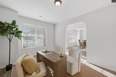 233 Blue Indigo Circle, Irmo, SC 29212 - Photo 13