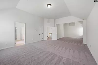 233 Blue Indigo Circle, Irmo, SC 29212 - Photo 23