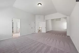 233 Blue Indigo Cir, Irmo, SC 29212 - Photo 23