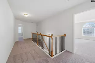 233 Blue Indigo Cir, Irmo, SC 29212 - Photo 19