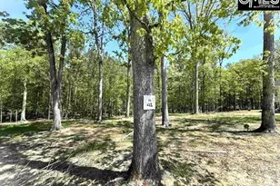 41 Shoreview Dr, Prosperity, SC 29127 - Photo 3