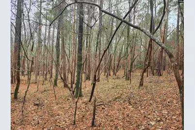 Tbd Colonels Circle, Ridgeway, SC 29130 - Photo 1