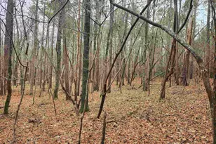 Tbd Colonels Circle, Ridgeway, SC 29130 - Photo 1