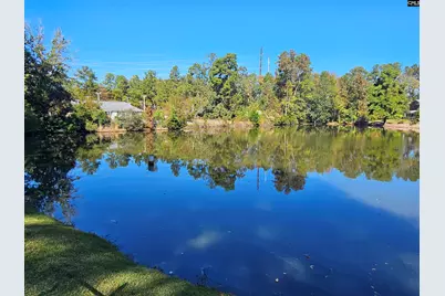223 Rutledge Place, Columbia, SC 29212 - Photo 31