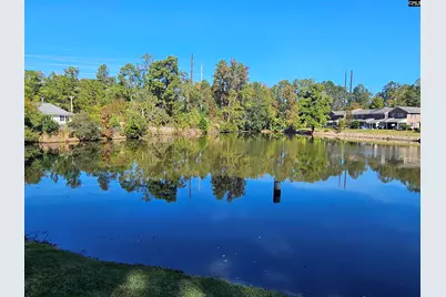 223 Rutledge Place, Columbia, SC 29212 - Photo 29