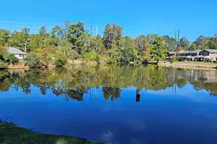 223 Rutledge Pl, Columbia, SC 29212 - Photo 29