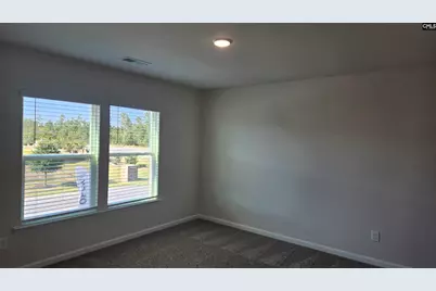 270 Sunny Hill Drive, Blythewood, SC 29016 - Photo 57
