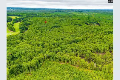 401 Taylor Chapel Road, Columbia, SC 29203 - Photo 5