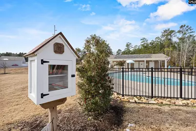 312 Throne Court, Chapin, SC 29036 - Photo 39