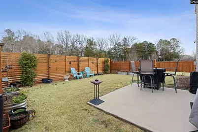 312 Throne Court, Chapin, SC 29036 - Photo 7