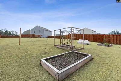 312 Throne Court, Chapin, SC 29036 - Photo 9