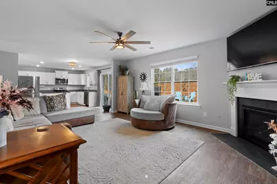 312 Throne Court, Chapin, SC 29036 - Photo 19