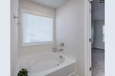 331 Red Globe Trail, Lexington, SC 29072 - Photo 29