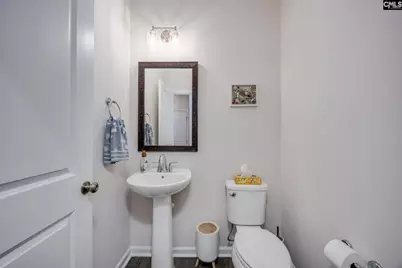 331 Red Globe Trail, Lexington, SC 29072 - Photo 21