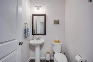 331 Red Globe Trl, Lexington, SC 29072 - Photo 21